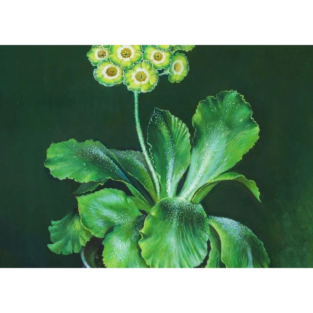 1980s Green and Yellow Auricula in Blue and White Bowl Gouache Painting by Jose Escofet For Sale - Image 4 of 9
