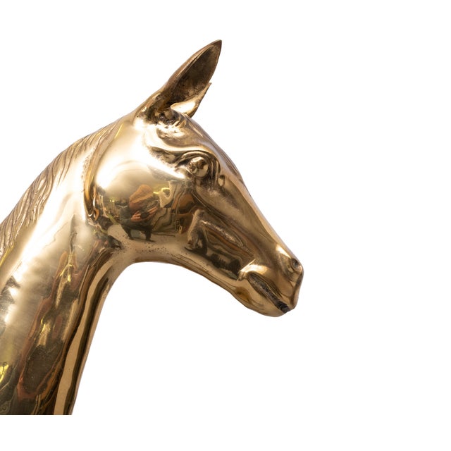 Large Brass Horses from Apko Superbrass, Holland, 1970s, Set of 2 For Sale - Image 10 of 14