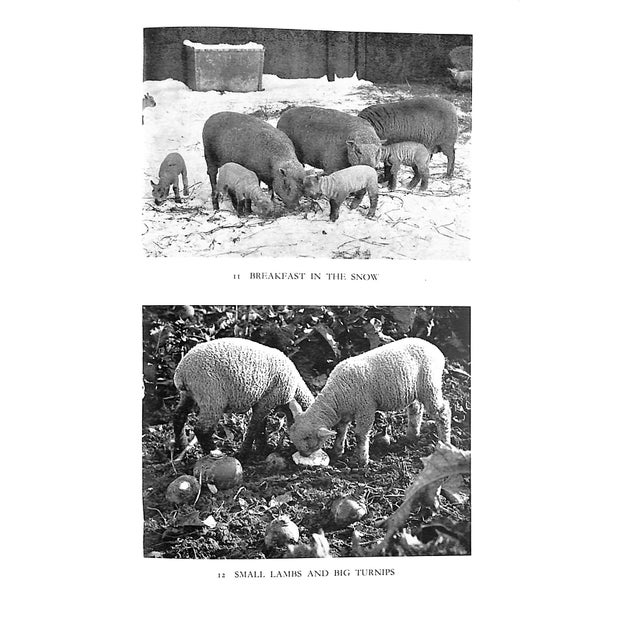 Traditional "The Countryman's England" 1935 Hartley, Dorothy For Sale - Image 3 of 9