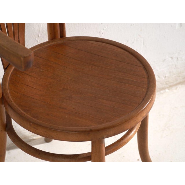 Bentwood Chairs in the style of Thonet, Hungary, 1960, Set of 2 For Sale - Image 11 of 12