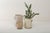 Contemporary 19th Century Ceramic Grottaglie Vase, Italy For Sale - Image 3 of 4