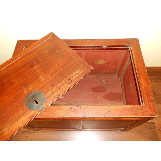 Antique Chinese Treasure Trunk (5552), Zelkova Wood, Circa 1800-1849 For Sale - Image 11 of 12