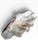 Shell Vintage Natural Giant Clam Shell – 11.5” Scalloped Coastal Specimen Bowl For Sale - Image 7 of 7