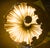 Not Yet Made - Made To Order Life on Mars Floor Lamp by Dario Nasuti For Sale - Image 5 of 7