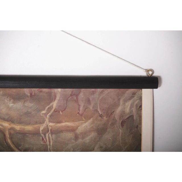 1920s Badger School Poster, 1920s For Sale - Image 5 of 7