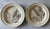Mid 20th Century Small J&g Meakin Plates From Staffordshire - Set of 10 For Sale - Image 10 of 10
