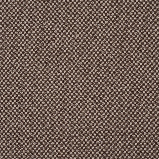 Schumacher Raye Performance Fabric In Brown For Sale