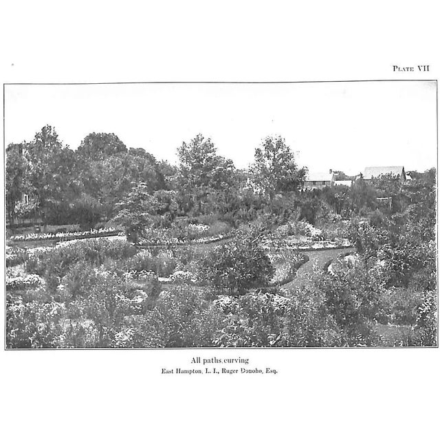 "Continuous Bloom in America" 1926 Shelton, Louise For Sale - Image 4 of 8