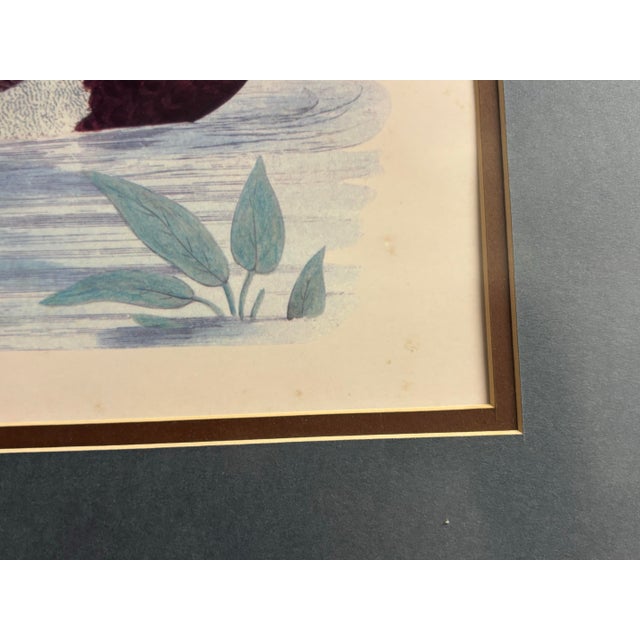 Late 20th Century Vintage Framed Waterfowl Print of a Red-Breasted Merganser Duck For Sale - Image 5 of 7