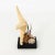 Nautical Nautical Shell Display With Starfish For Sale - Image 3 of 8
