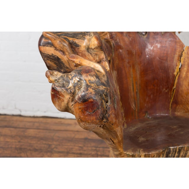 Vintage Chinese Hand Crafted Camphor Wood Root Chair with Light Varnish For Sale - Image 12 of 12