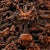 Vintage Chinese Boxwood Nine Dragon Screen | Master Carved Table Screen With Gemstone Inlay For Sale In Los Angeles - Image 6 of 9