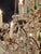 19th Century Italian Tole and Green Crystal Drop Chandelier For Sale In Dallas - Image 6 of 9