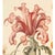 Green Museum-Quality Fine Art Prints After Original Botanical Watercolors From the 1800s. For Sale - Image 8 of 9