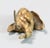 19th Century 19th Century French Gilt Bronze Wounded Sparrow Bird, After Comolera For Sale - Image 5 of 8