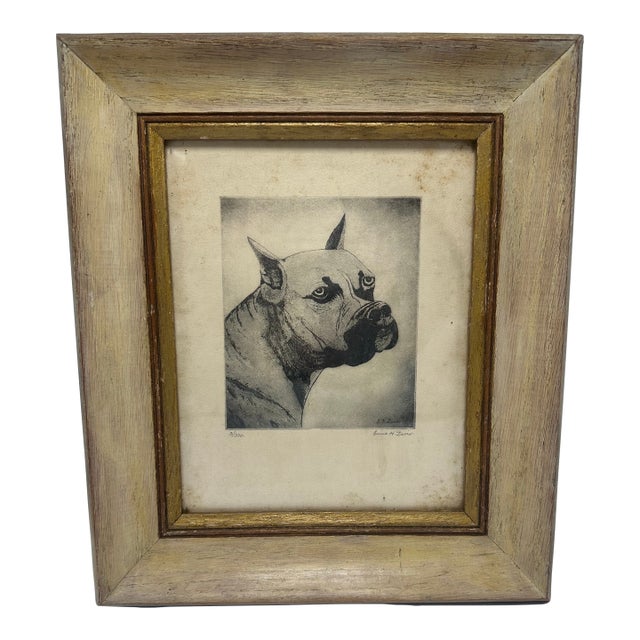 Antique Framed Etching of a Boxer Dog For Sale