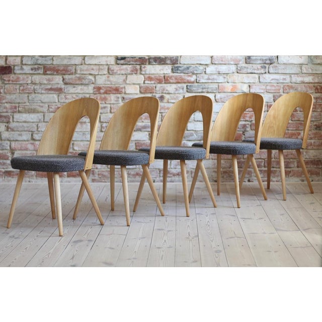 This set of ten vintage dining chairs was designed by Czech designer Antonin uman in the 1960s. The chairs have been...
