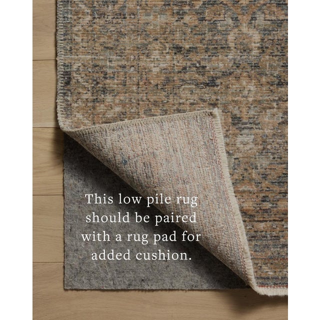 Amber Lewis x Loloi Molly Denim / Gold 9'-6" x 13'-6" Area Rug For Sale In Dallas - Image 6 of 8