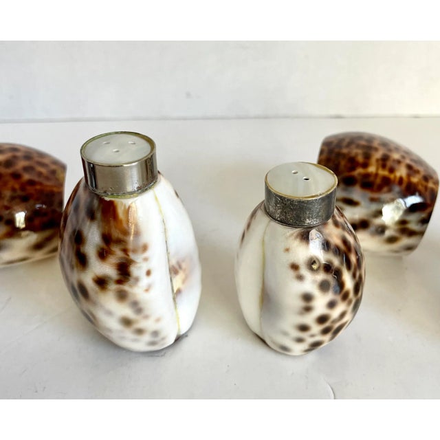 Here is a charming set of salt and pepper shakers and 6 napkin rings made of tiger cowrie shells. The salt and pepper set...