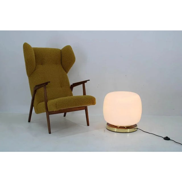 Metal Large Blown Glass Floor Lamp, Former Czechoslovakia, 1950s For Sale - Image 7 of 10