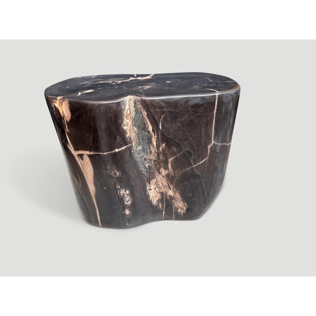 Andrianna Shamaris Impressive Super Smooth Petrified Wood Side Table For Sale - Image 4 of 5