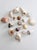 Vintage Collected Seashell Collection For Sale - Image 6 of 17