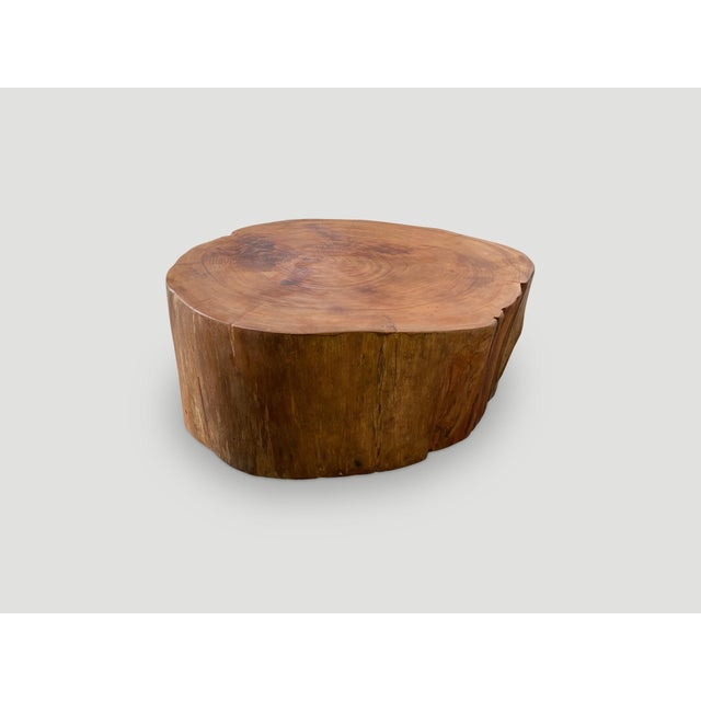 2010s Andrianna Shamaris Reclaimed Mahogany Wood Coffee Table For Sale - Image 5 of 5