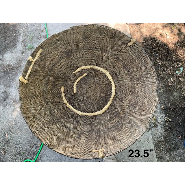 1960s Set of 4 Large Vintage Zambian Makenge Tree Root Baskets - 23" to 24" For Sale - Image 5 of 12