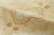 Cream Oversized Antique 20th Century Portuguese Rug With Floral Motifs - Rug & Kilim For Sale - Image 8 of 9