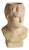 Weathered Garden Male Bust Planter For Sale