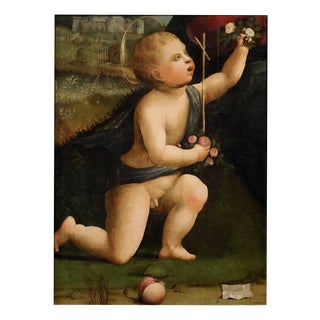 Workshop of Marco Palmezzano, Saint John the Baptist as a Child, 16th Century, Oil Painting on Panel For Sale