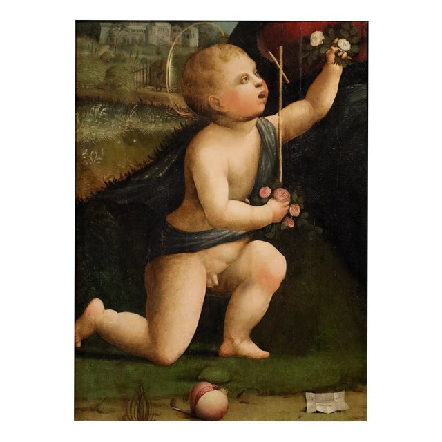 Workshop of Marco Palmezzano, Saint John the Baptist as a Child, 16th Century, Oil Painting on Panel For Sale