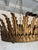 Spanish Feathered Crown Ceiling Fixture For Sale - Image 11 of 12