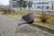 Offered here is the “oti” chair designed by niels gammelgaard for ikea, featuring its original soft pad cushion and...