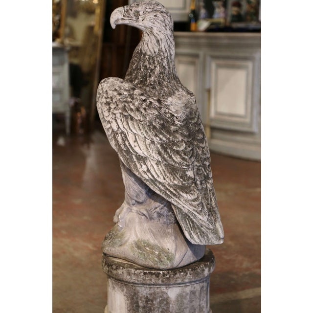 Stone Gray Mid Century French Cast Stone Eagle Garden Sculpture on Pedestal For Sale - Image 8 of 10