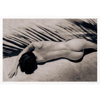 Fine Art Photograph | Signed Original Limited Edition of 5 | "Fille Dans Une Ombre Feuillue" Contemporary Figurative Nude Woman by Aaron Knight For Sale