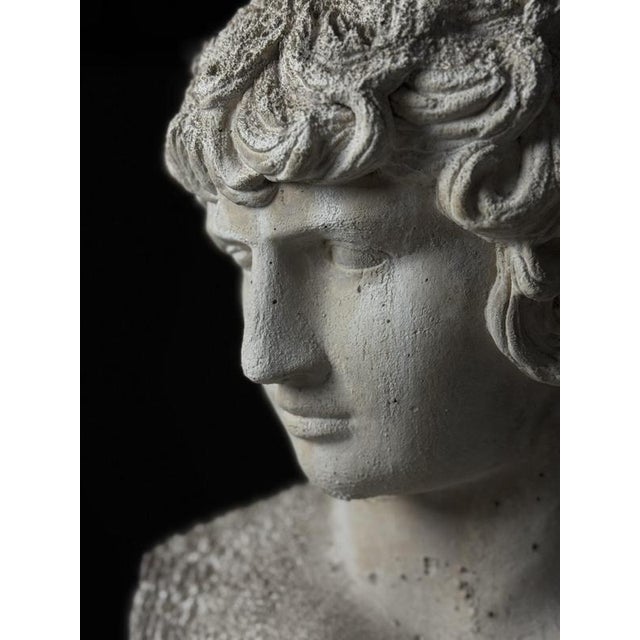 Classical Bust of Antinous, 2000s For Sale - Image 16 of 18