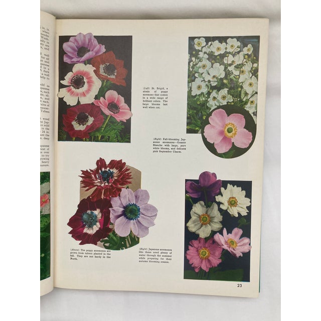 The Complete Guide to Garden Flowers / a Vintage Encyclopedia of Garden Planning / 1972 For Sale In Nashville - Image 6 of 12