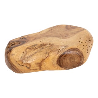 Modern Live Edge Teak Burl Wood Coffee Table For Sale