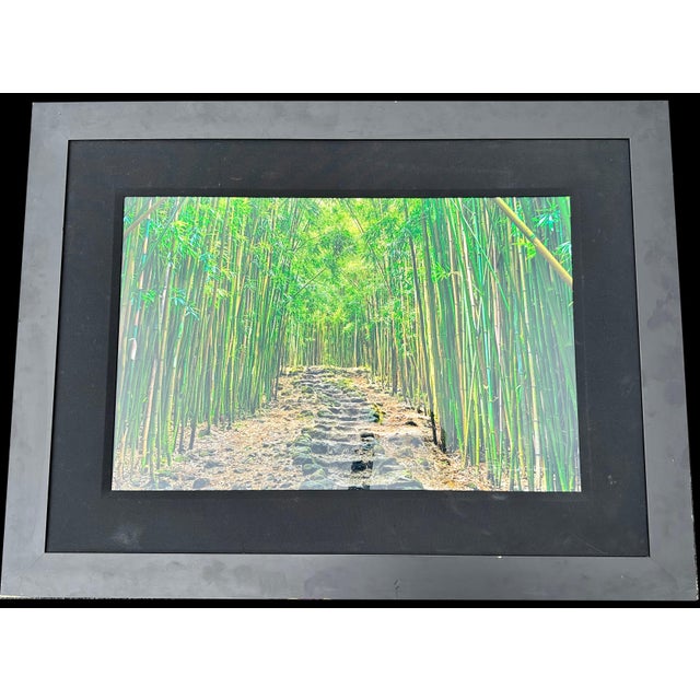 Lucky Bamboo Path Photo Taken by Peter Lik in Maui Hawaii, Green Bamboo, Framed For Sale - Image 18 of 18