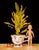 Sinful Thoughts by Thane Gorek | Oil on board Still life of a plant in a cup with a doll and a ball For Sale