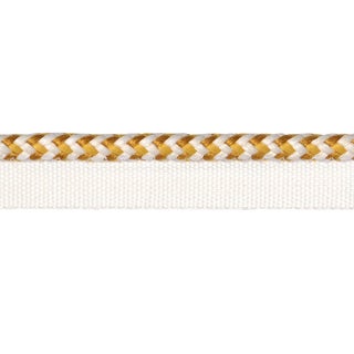 Schumacher Bolander Cord Indoor/Outdoor Trim In Yellow For Sale