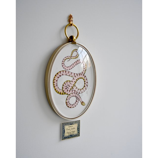 Illustration Snake Painting in Vintage Frame For Sale - Image 3 of 5