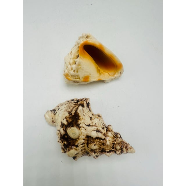 Vintage Ceramic Shells, a Pair For Sale - Image 4 of 7