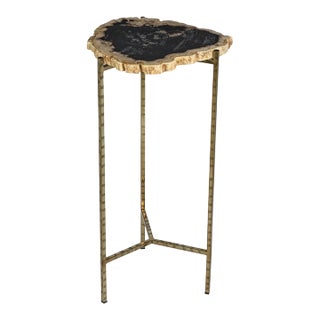 Brasilia Petrified Wood Side Table, Medium For Sale
