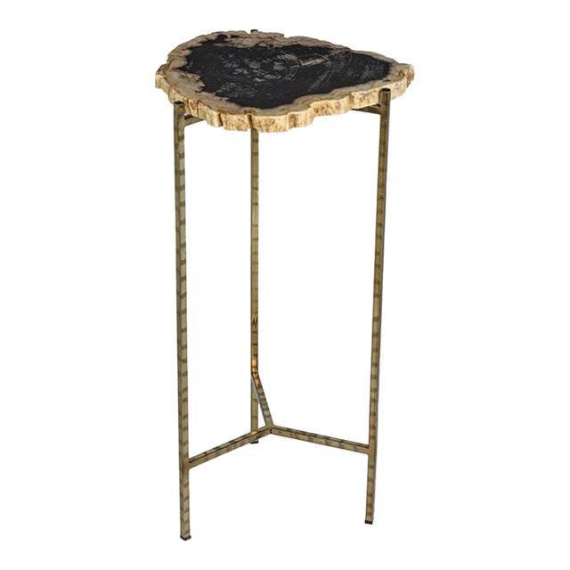 Brasilia Petrified Wood Side Table, Medium For Sale