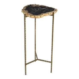 Brasilia Petrified Wood Side Table, Medium