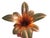 Mario Luca Giusti Ananas Melissa Pineapple Gold Plated Leaves Synthetic Crystal Acrylic Retired For Sale - Image 10 of 10