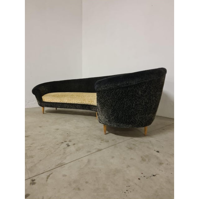 Curved Sofa by Federico Munari, 1950s For Sale - Image 17 of 18