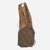 Brown Early 20th Century Maasai Leather Fringe and Beaded Olekesana Skirt Kenya For Sale - Image 8 of 8